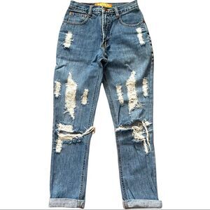 Fenix Distressed High-Rise Jeans Size 24
